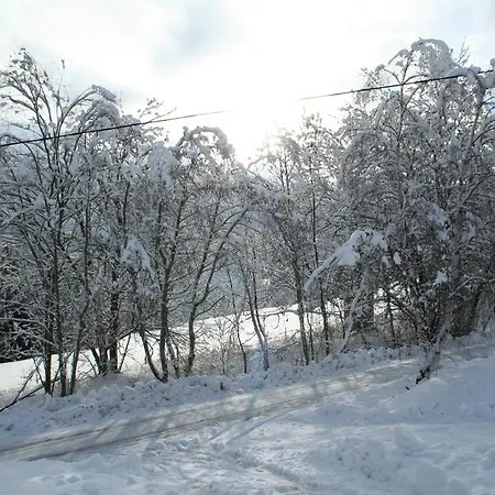 Chalet Almchalet *