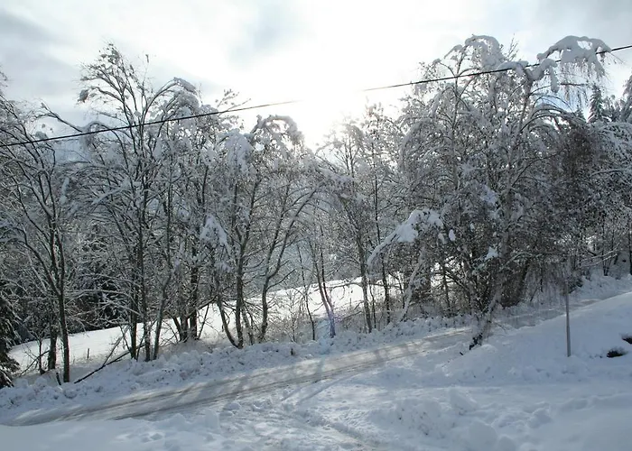 Σαλέ Almchalet *