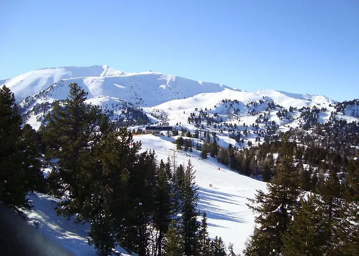 Almchalet Σαλέ *